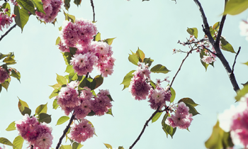 恋愛で役立つテクニックについて何か質問ありますか？