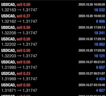 収入の柱を最速で樹立！！FXセミナー！ を教えます