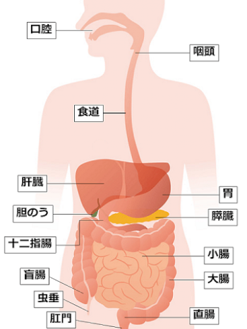 病院管理栄養士が病気に沿った食事相談乗ります。 何か質問ありますか？